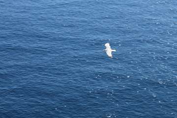 Y llegó el verano de la pandemia (Foto Jesús Ruiz Mesa)